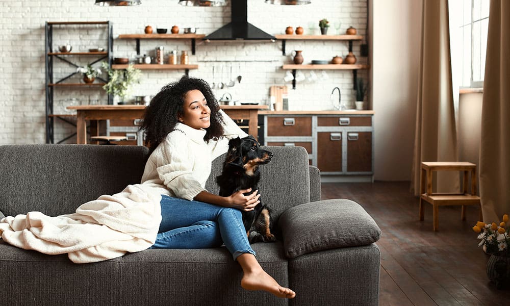 Blog - Rising Cost of Building Materials and Your Homeowners Insurance - Woman Sitting On Her Couch In Her Moden Home With Her Cute Dog